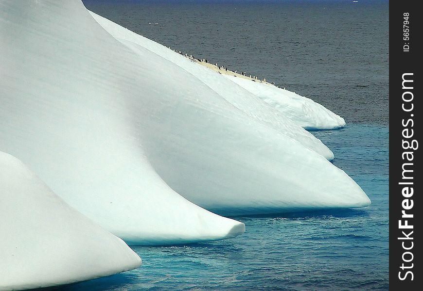 Antarctic penguin group, icebergs, Antarctica