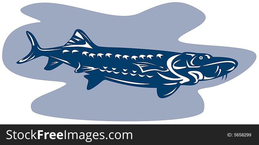 Vector art of a fish isolated on white. Vector art of a fish isolated on white