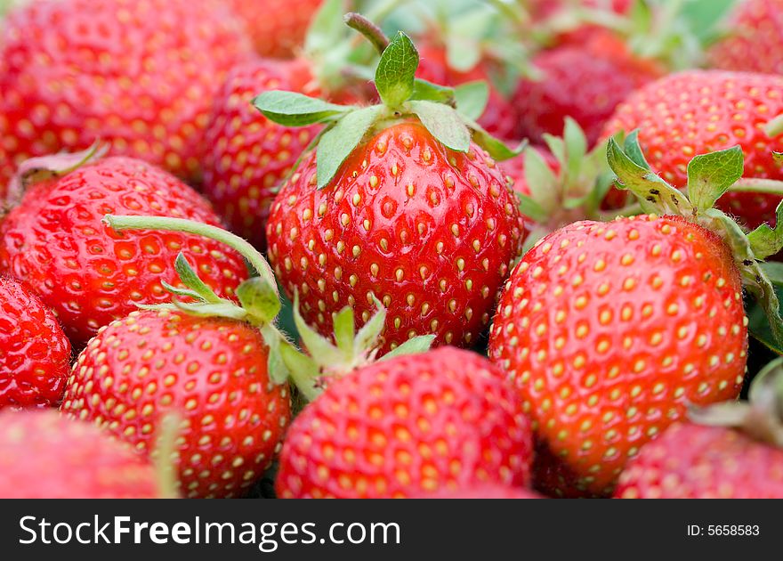 Close-up of ripe strawberries, shalow depth of view. Close-up of ripe strawberries, shalow depth of view