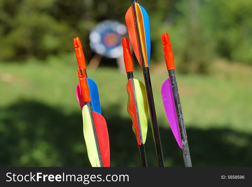 Arrows with target blurred in background