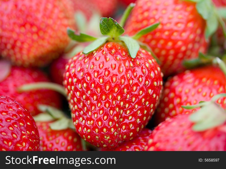 Close-up of ripe strawberries, shalow depth of view