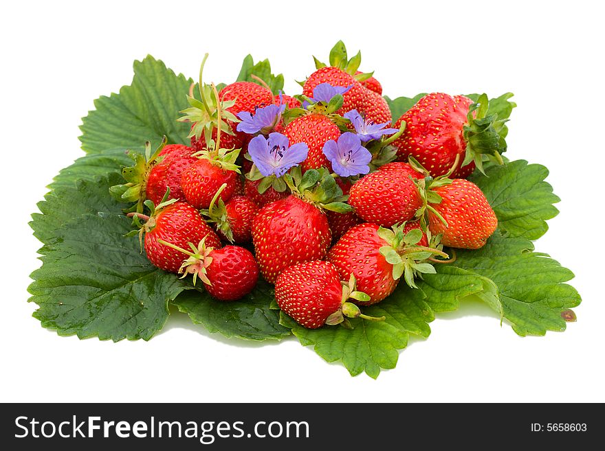 Close-up of ripe strawberries on leafs, isolated over white background