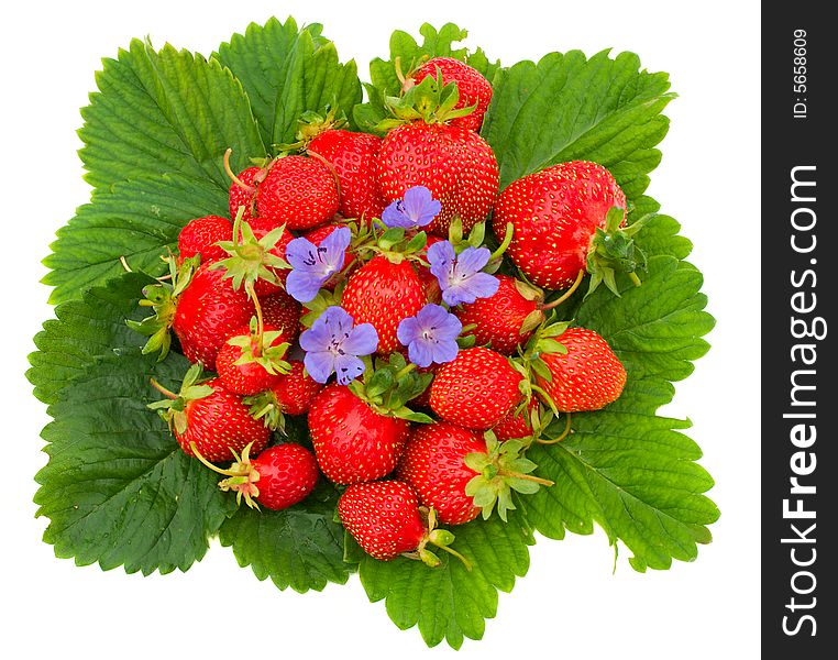 Close-up of ripe strawberries on leafs, isolated over white background. Close-up of ripe strawberries on leafs, isolated over white background
