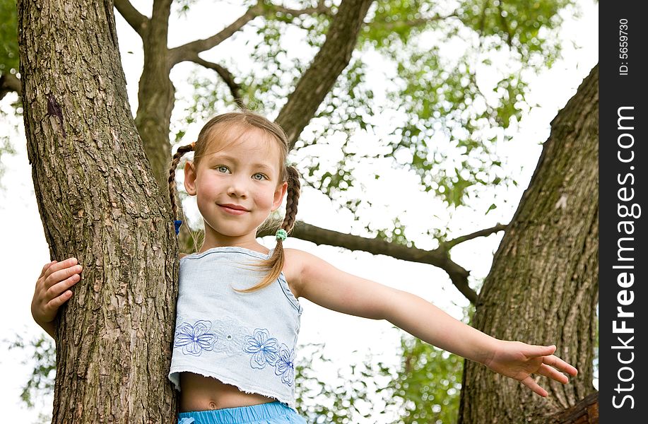 Little girl with plaits has climbed on a tree. Little girl with plaits has climbed on a tree