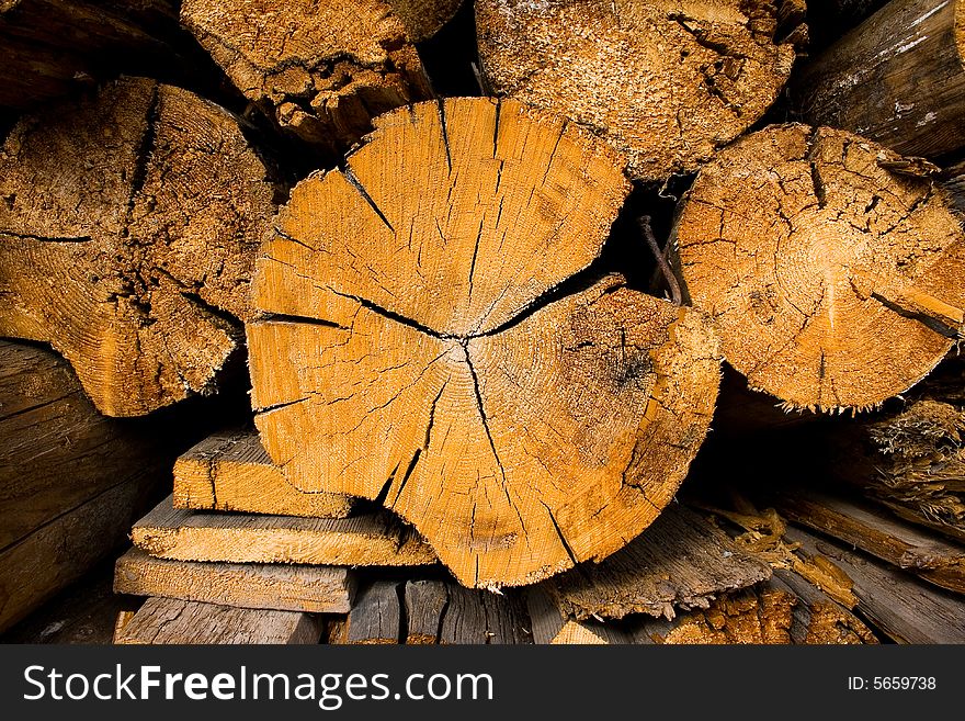 Structure of logs which lay in a woodpile