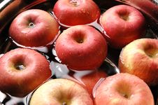 Free Red Apples Stock Photography - 5661062