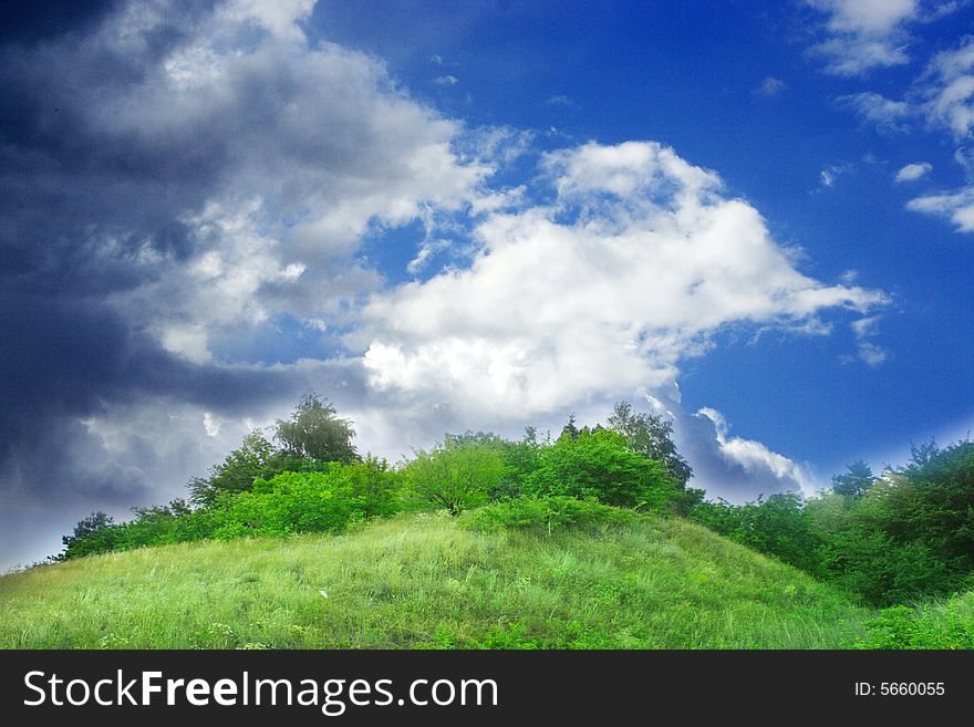 Beautiful green bush on background blue sky and cloud. Beautiful green bush on background blue sky and cloud
