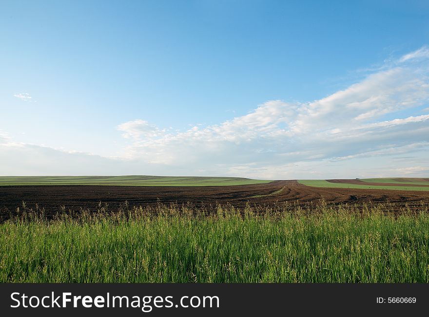 Field under blue sky with clouds