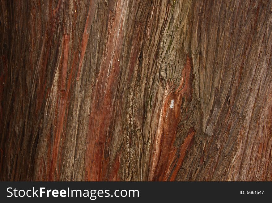 Abstract Wood Crust Texture