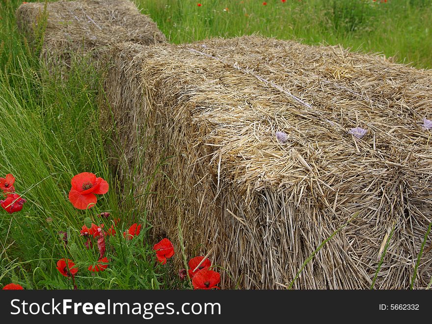 Hay bundle in a meadow in summer with some wild poppies.