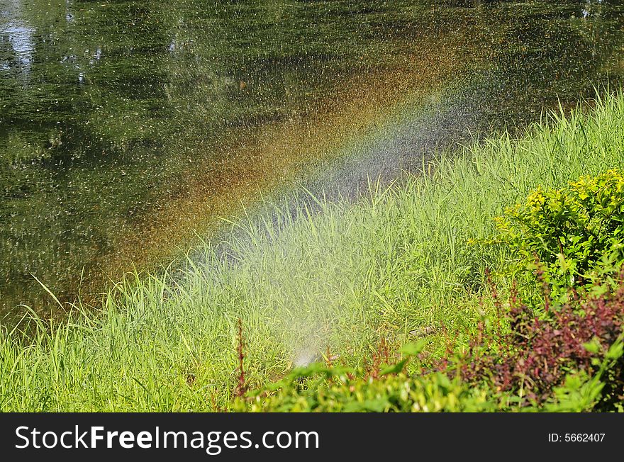 Rainbow in the pond, green pond