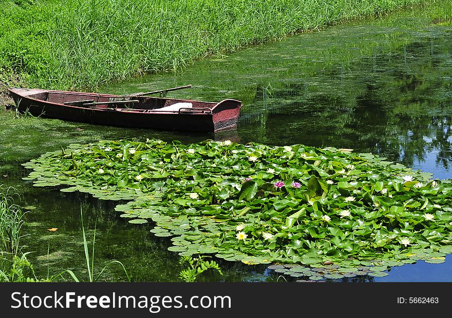 Boat in the lake, pond lily