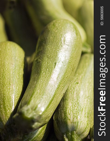 Green zucchini stock close up. Green zucchini stock close up