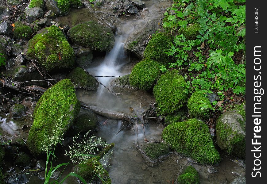 Flowing water and green moss