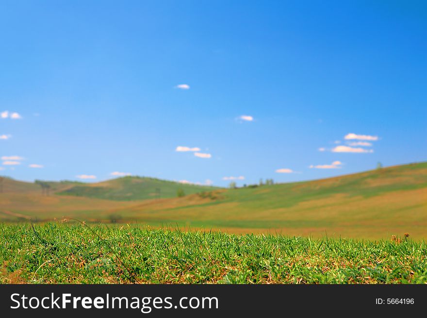 Green field under blue sky with clouds