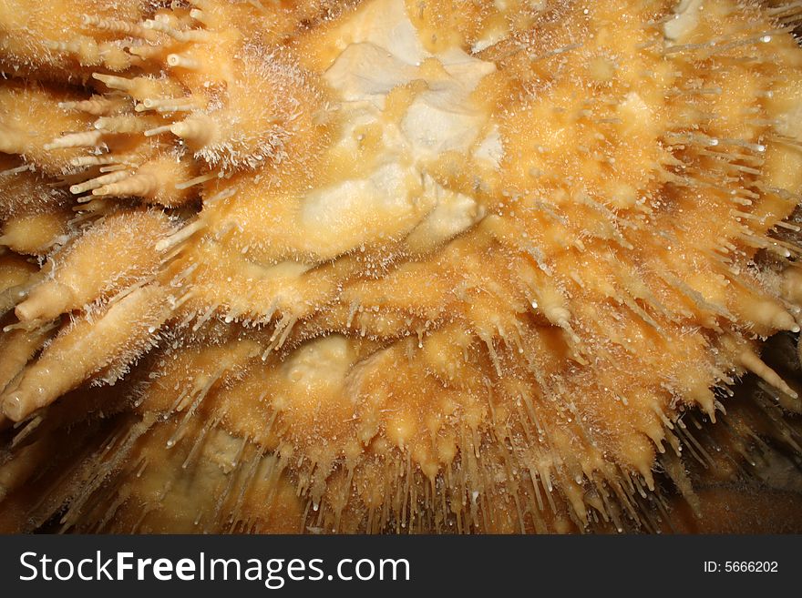 Closeup of stalagtites in an old cave