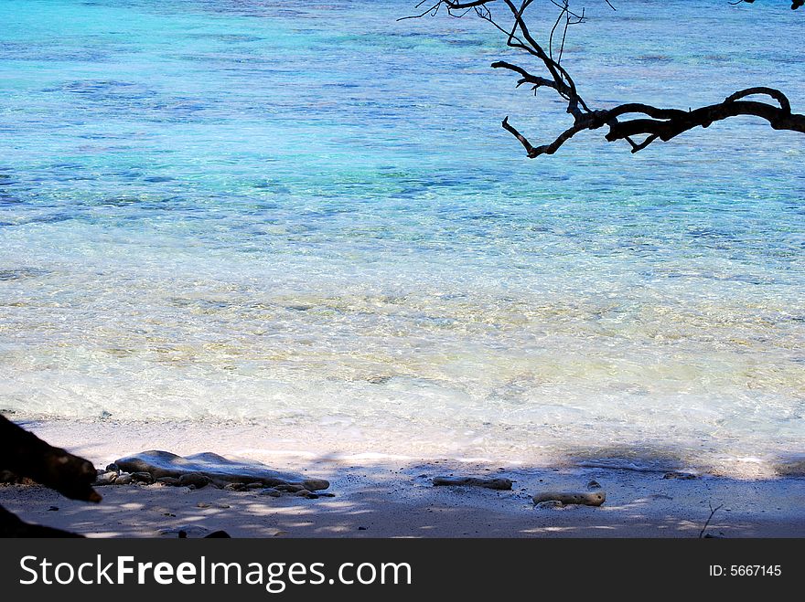 Caribbean Beach Hideaway