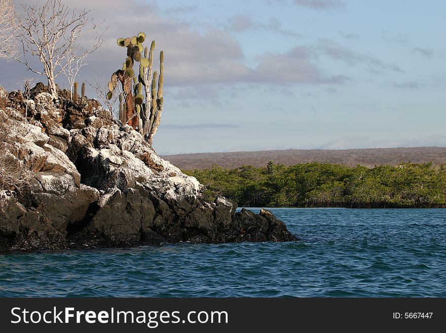 A scenic view of the Galapagos Islands, Ecuador. A scenic view of the Galapagos Islands, Ecuador.