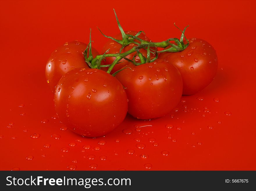 Branch of tomatoes with drops on the red one