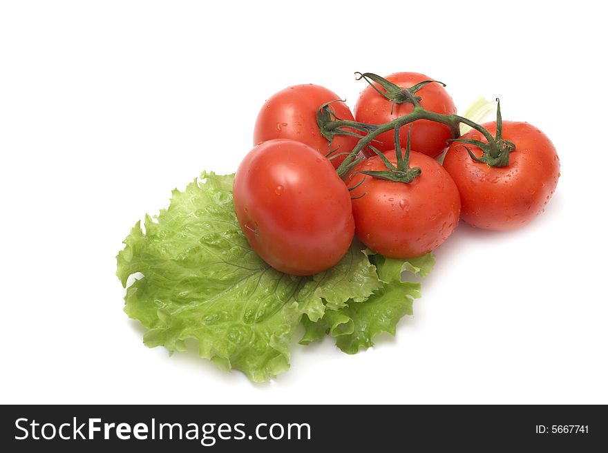 Fresh vegetables on a white background