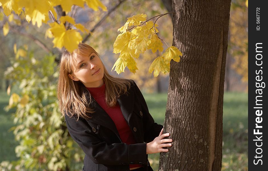 The young woman on a autumn leaves background