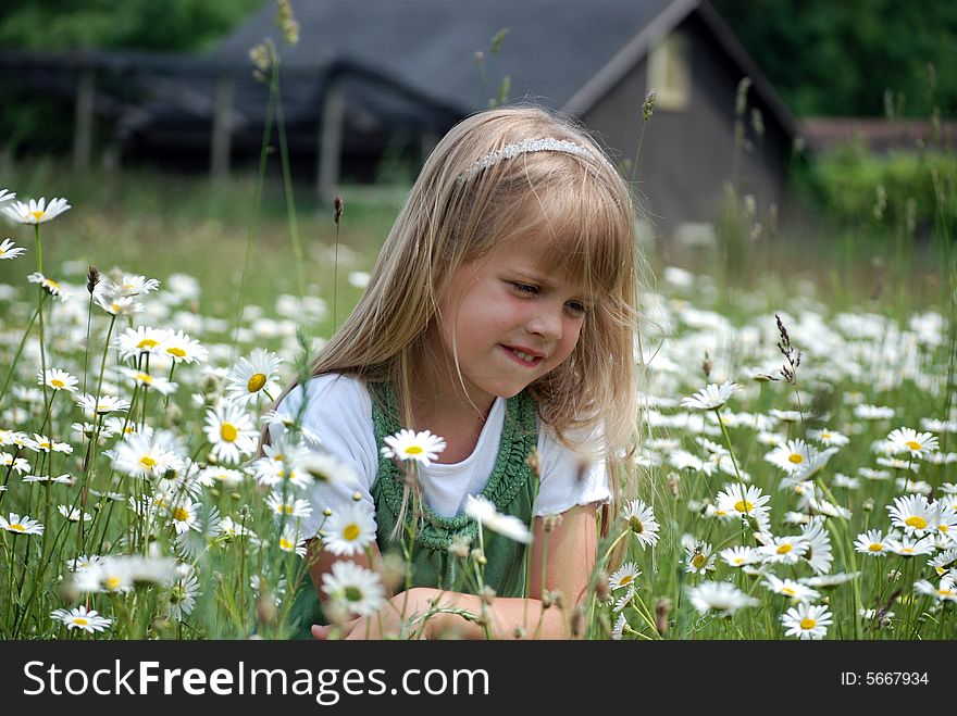 Little girl in the middle of a daisy field. Little girl in the middle of a daisy field.