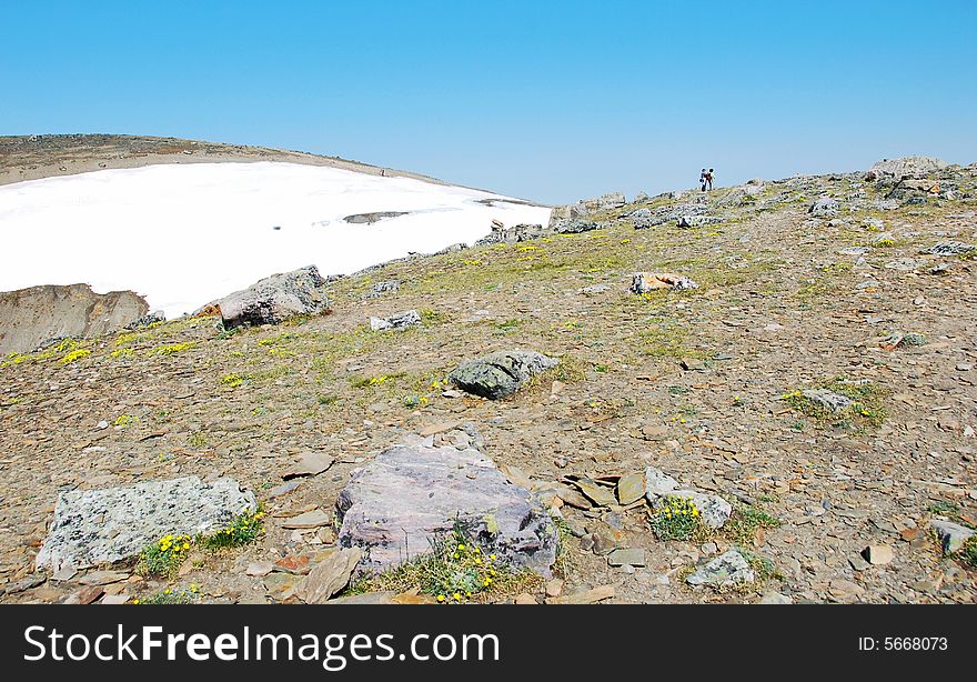 Snow ranges on the top of Mountain Whistler Jasper National Park Alberta Canada