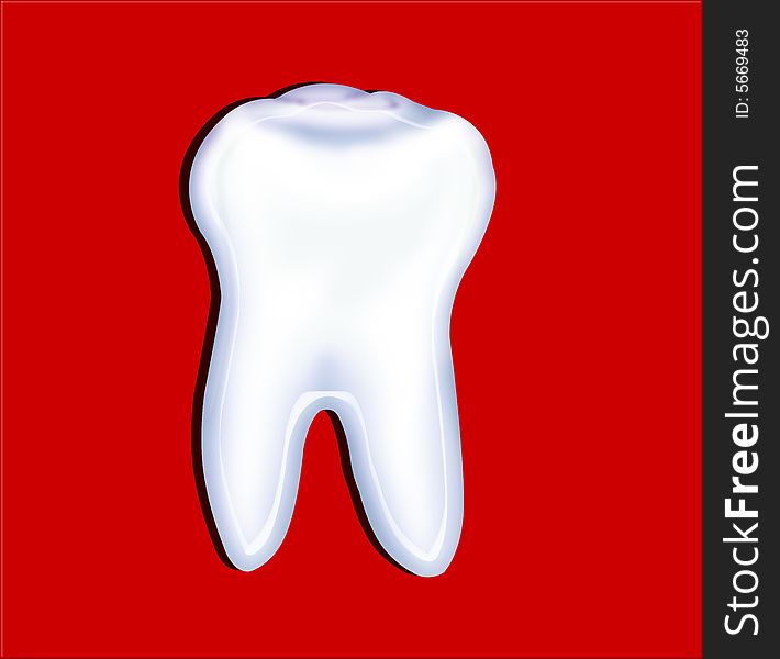 3d illustration of a human tooth