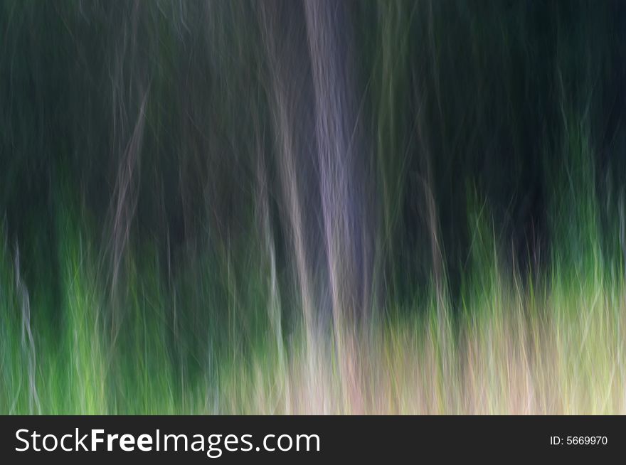 Abstract picture of the forest. Abstract picture of the forest