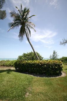 Grassy Ocean View Royalty Free Stock Photos Grassy Ocean View Royalty Free Stock Photos