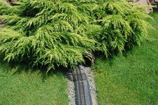 Railroad To Forest Royalty Free Stock Photos Railroad To Forest Royalty Free Stock Photos