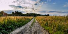 Field Road In Time Sunset Royalty Free Stock Images Field Road In Time Sunset Royalty Free Stock Images