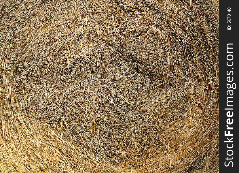 A ball of freshly produced hay, first of the summer season. A ball of freshly produced hay, first of the summer season