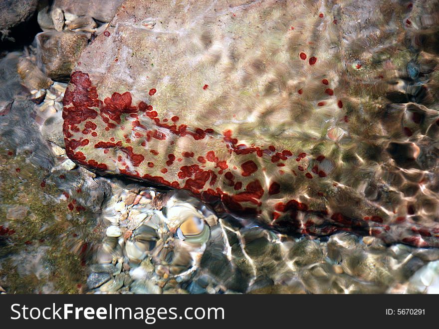 Red spotted rock under crystal clear water. Red spotted rock under crystal clear water
