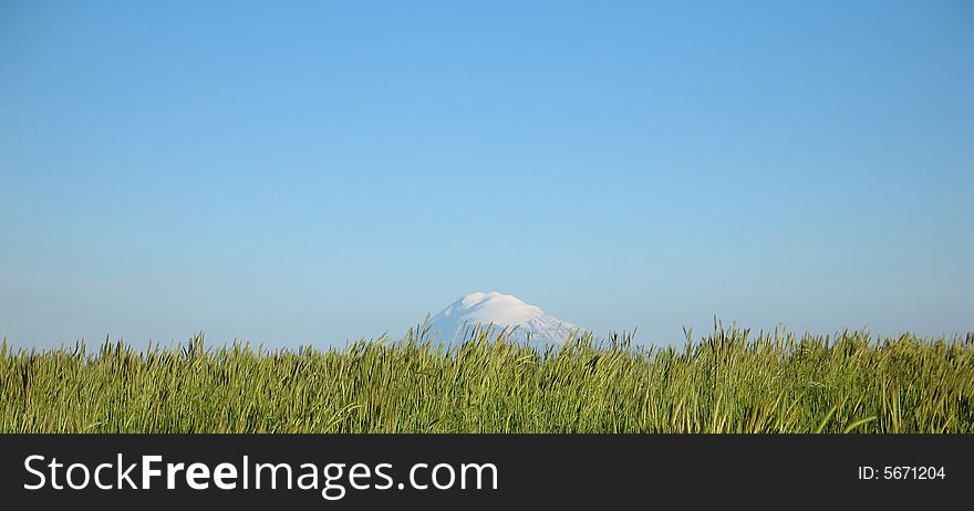 Ararat Mountain