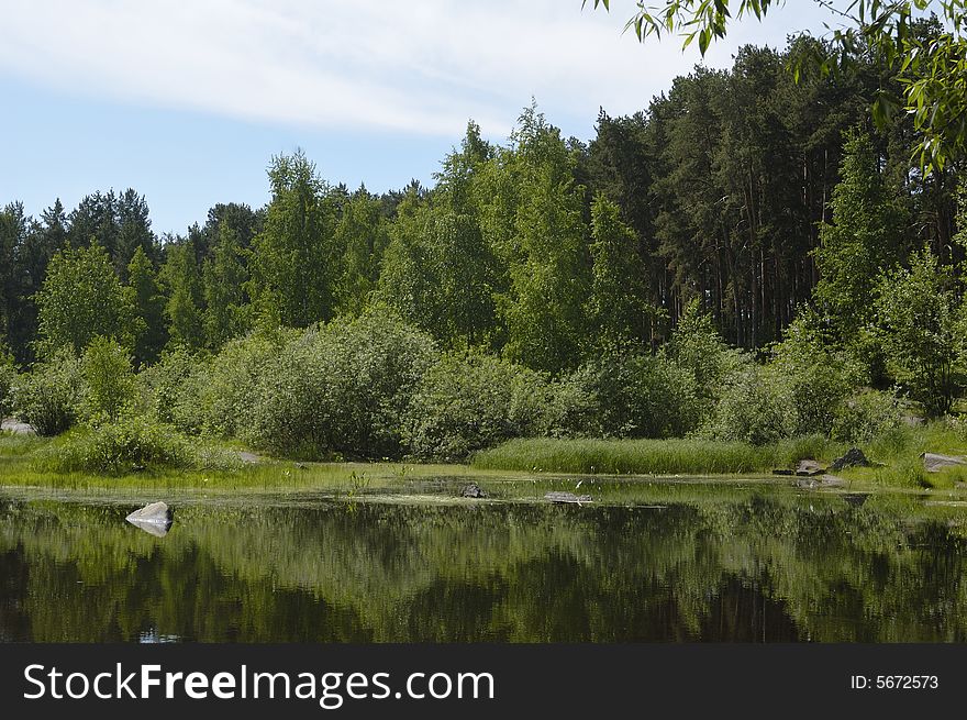 Photo of lake coast where trees are reflected in the water