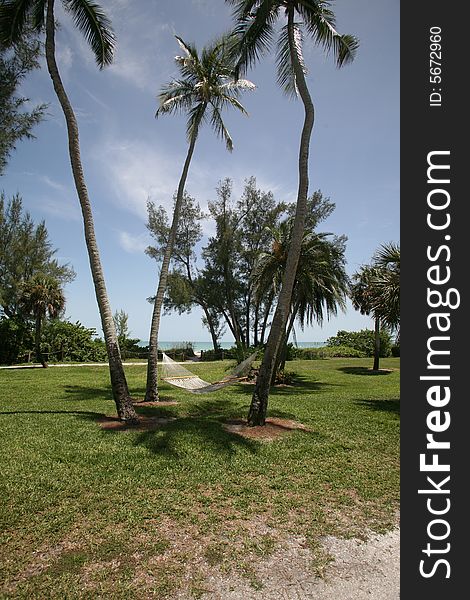 A photo taken of a hammock between two palm trees with the ocean in the background. Photo taken on Sanibel / Captiva Island. A photo taken of a hammock between two palm trees with the ocean in the background. Photo taken on Sanibel / Captiva Island.