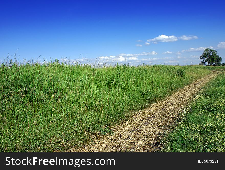 Green field and blue sky landscape with road. Green field and blue sky landscape with road