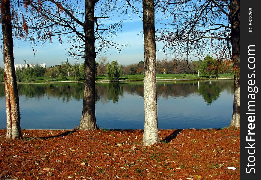 Red Ground Next To Calm Water