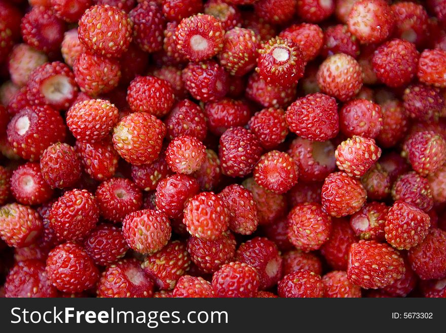 Heaps of red , ripe and sweet wild srawberries