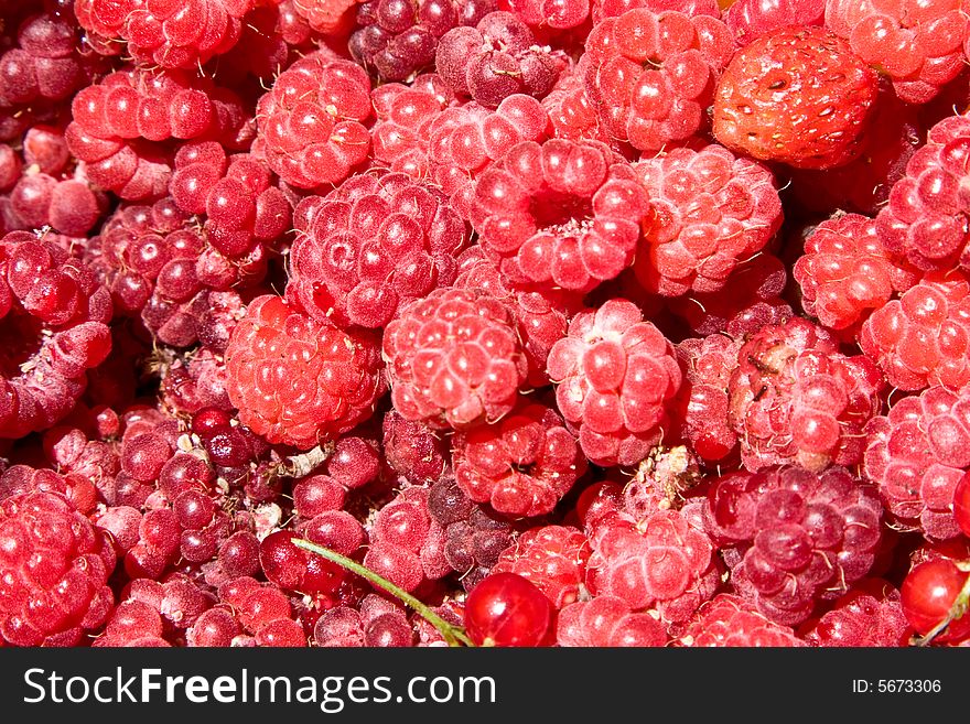 Just the collected berries of a raspberry, a currant