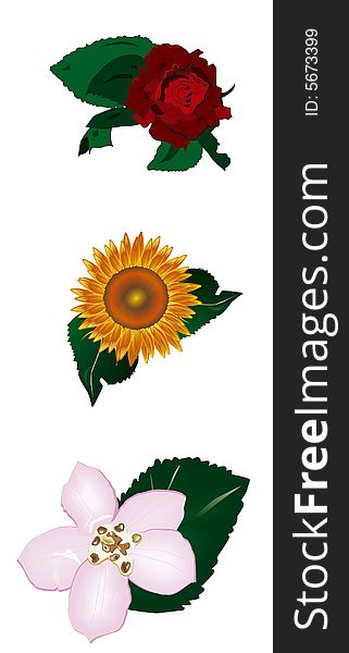 Rose, sunflower and lirium in a colorfull 3D illustration. Rose, sunflower and lirium in a colorfull 3D illustration