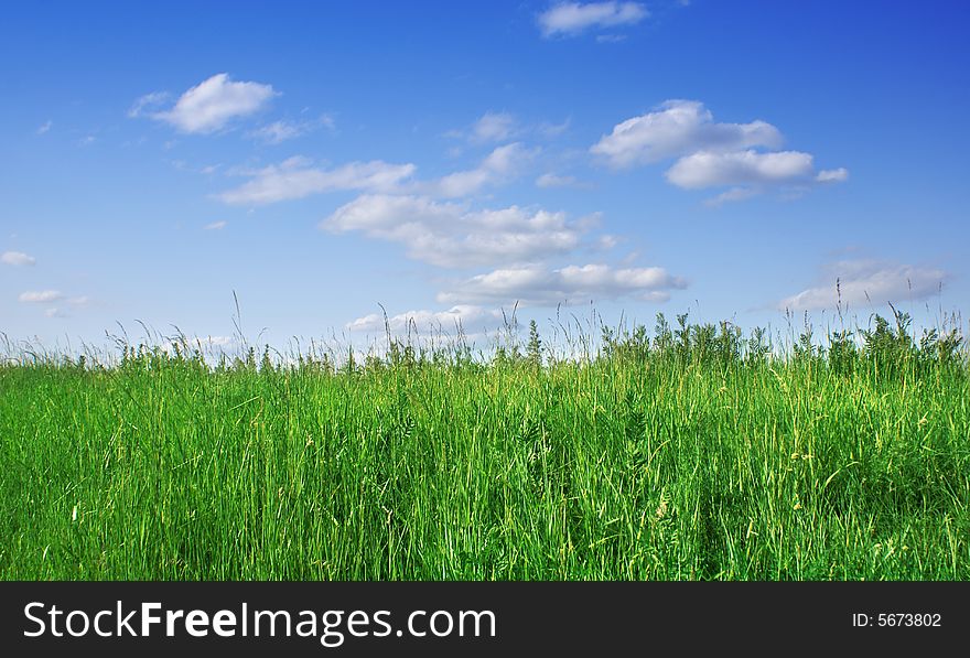 Green grass and blue sky with clouds