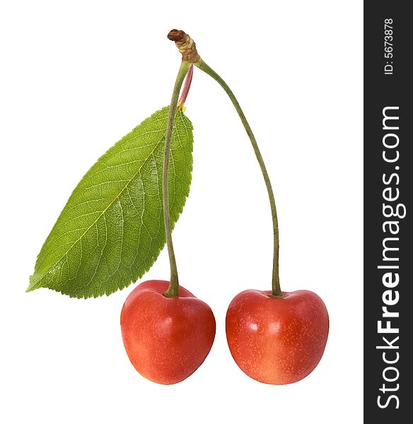 Red cherry with leaf on the white background