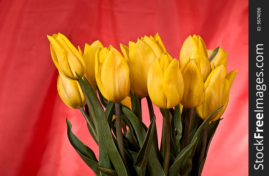 Bunch of flowers, yellow tulip over red. Bunch of flowers, yellow tulip over red