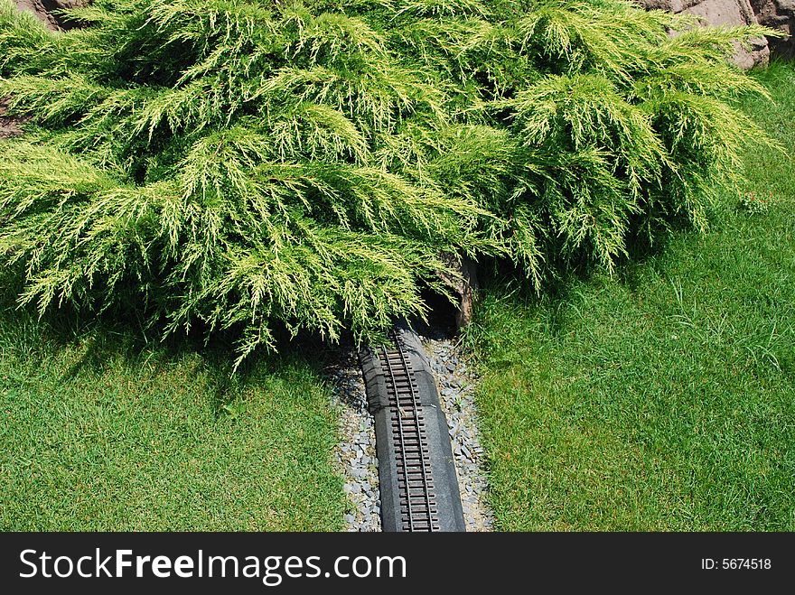 Tiny railroad to forest surround with green grass carpet