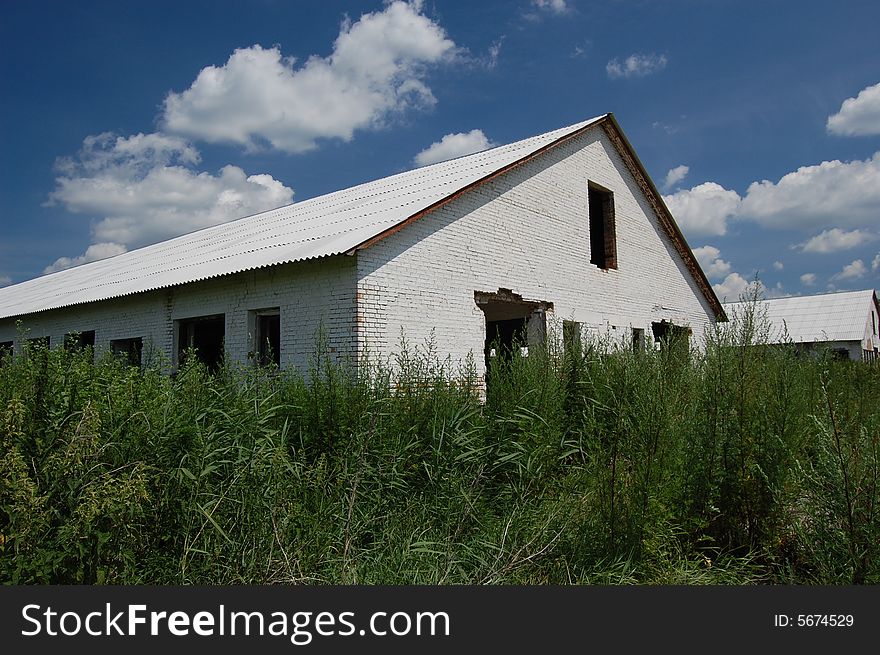 Abandoned Farm. Near Chernobyl Area.  Kiev Region