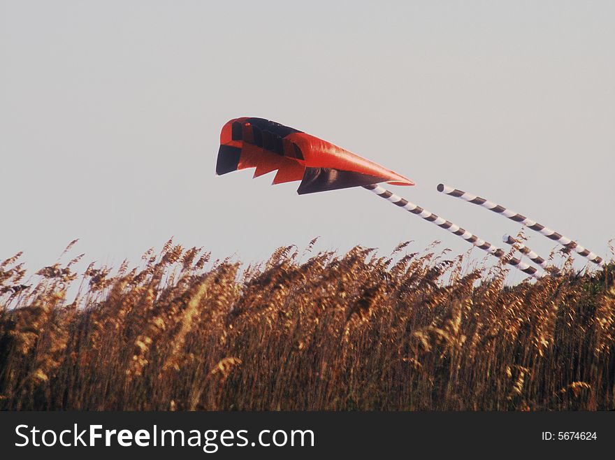 A black and red kite being flown on the beach. Sea grass in the foreground. A black and red kite being flown on the beach. Sea grass in the foreground