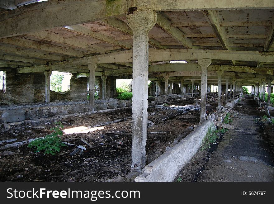 Abandoned farm. Near Chernobyl area.  Kiev region