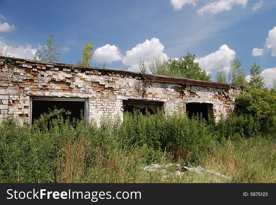 Abandoned Farm. Near Chernobyl Area.  Kiev Region